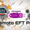 Servicio Remoto EFT dongle