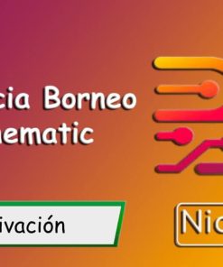 Licencia Borneo Schematic