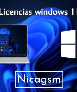 License Windows 11