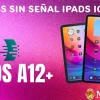 Bypass sin señal IPad Iremoval A12+ IOS 18.5
