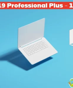 Licencia office año 2019 de por vida profesional plus